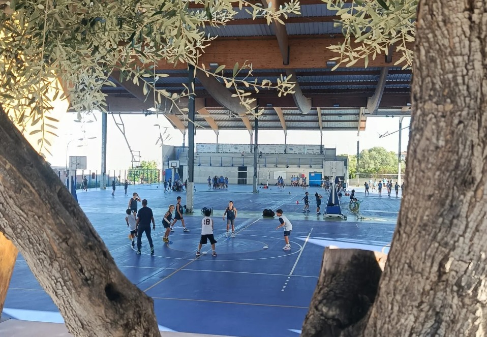 Captura de pantalla_24-11-2025_104330_www.webador.es